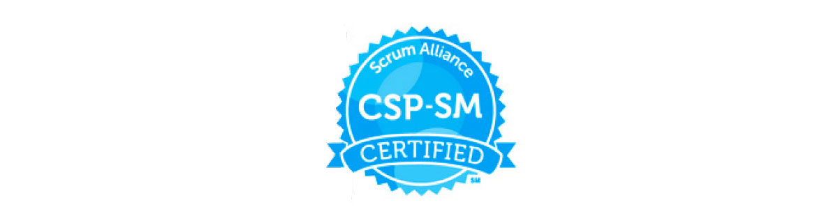 CSP-SM Seal
